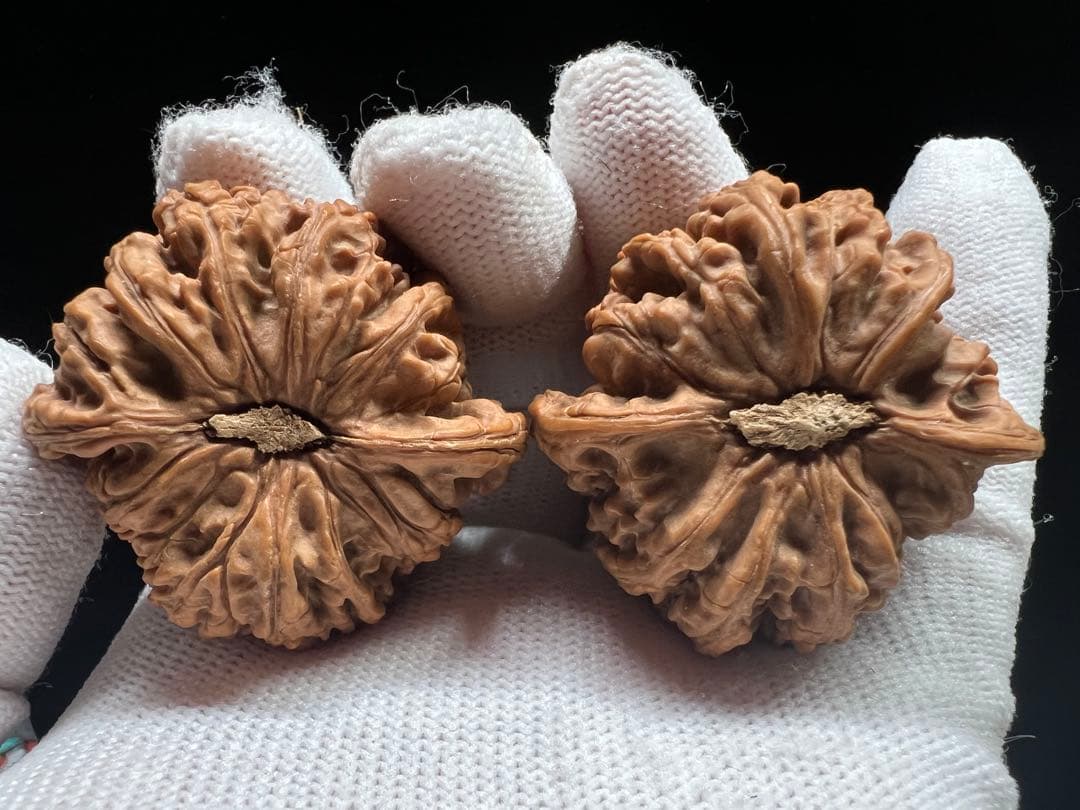 文玩堂：ムンセン承徳密紋 木栓狮子头胡桃（無修整）