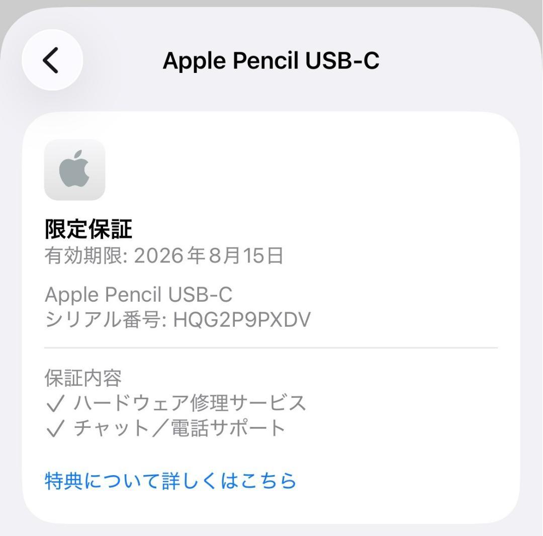 保証あり【ほぼ未使用】Apple Pencil USB-C 替え芯set