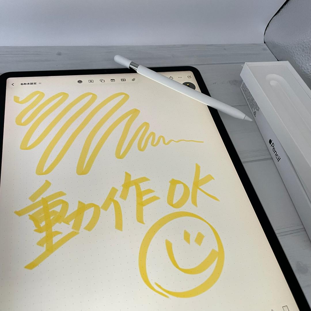 保証あり【ほぼ未使用】Apple Pencil USB-C 替え芯set