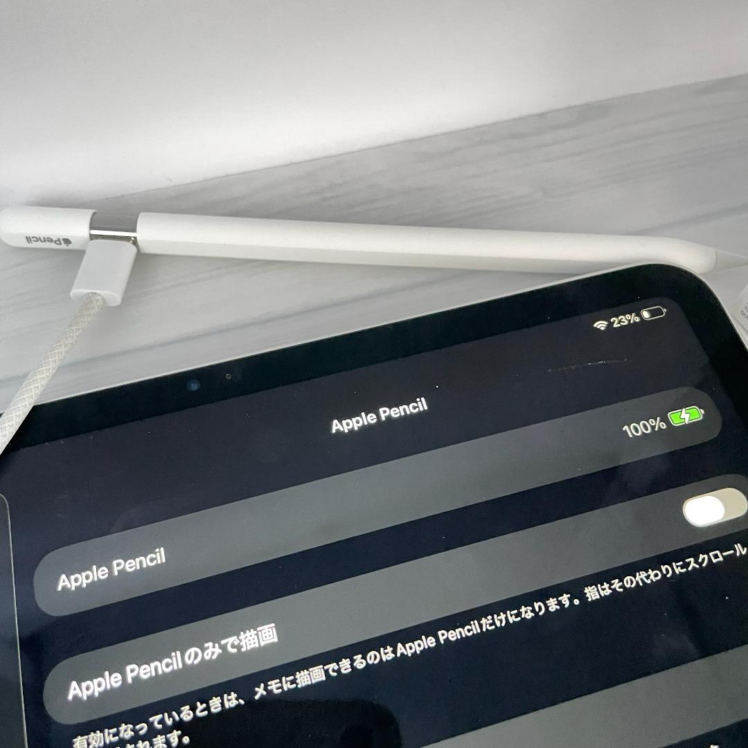 保証あり【ほぼ未使用】Apple Pencil USB-C 替え芯set