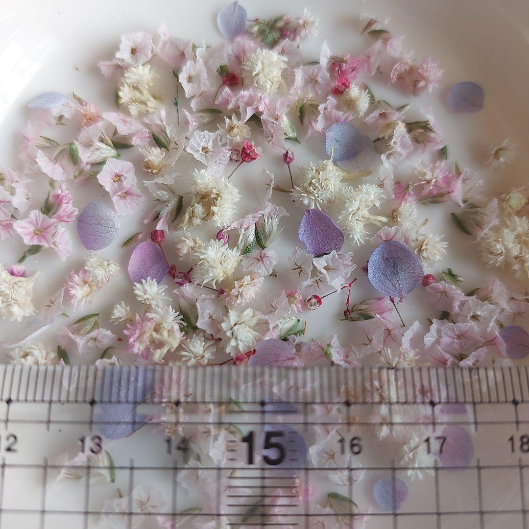 『小さなお花』プリザ紫陽花&ドライフラワー　オリジナル色　在庫①