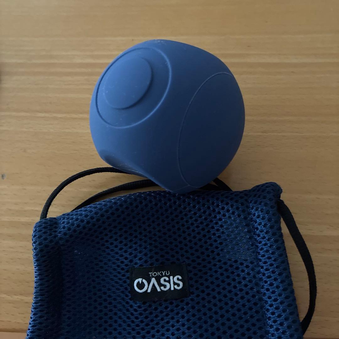 フィットネスクラブがつくったスタイリーボール