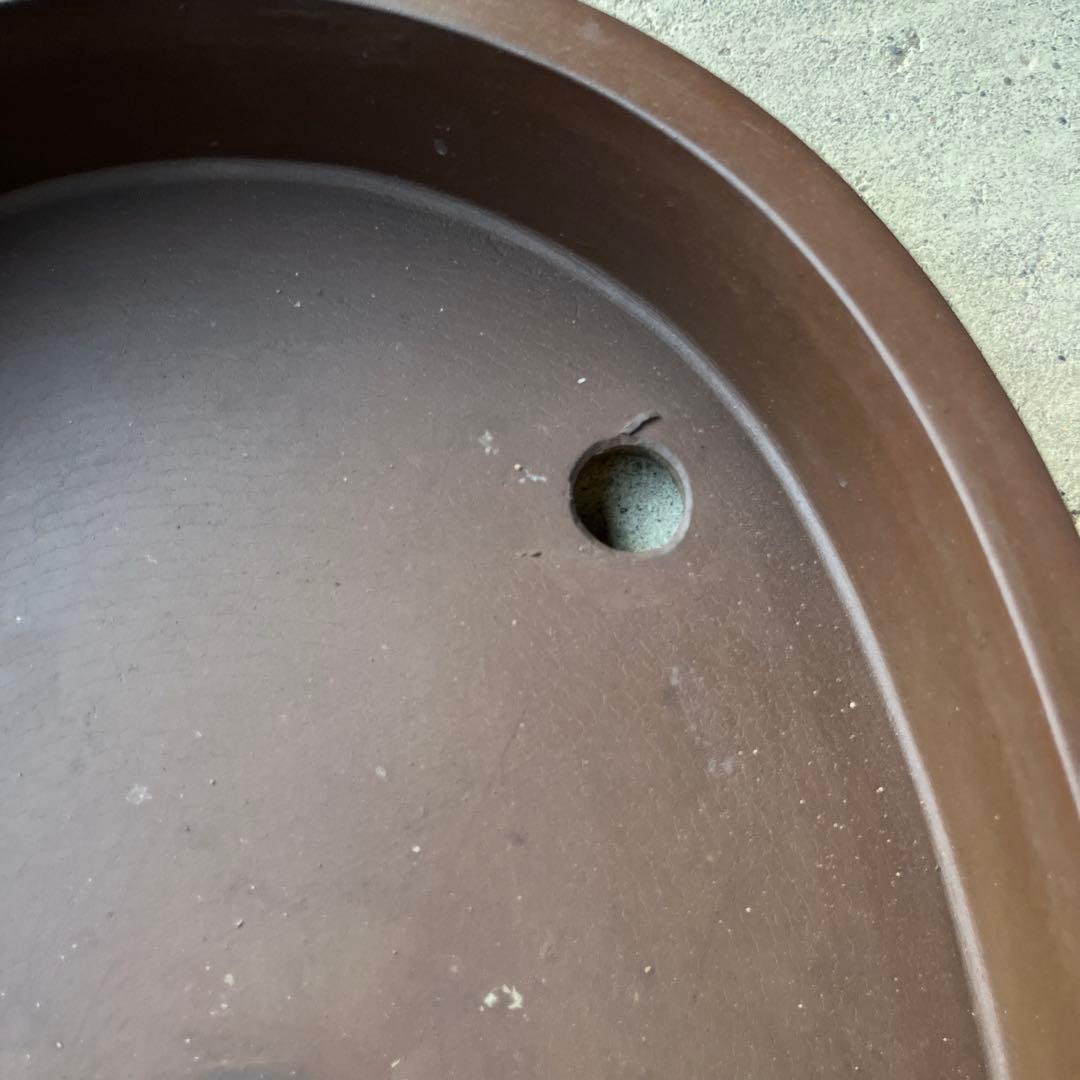 園芸 盆栽鉢 植木鉢 大きめ アンティーク