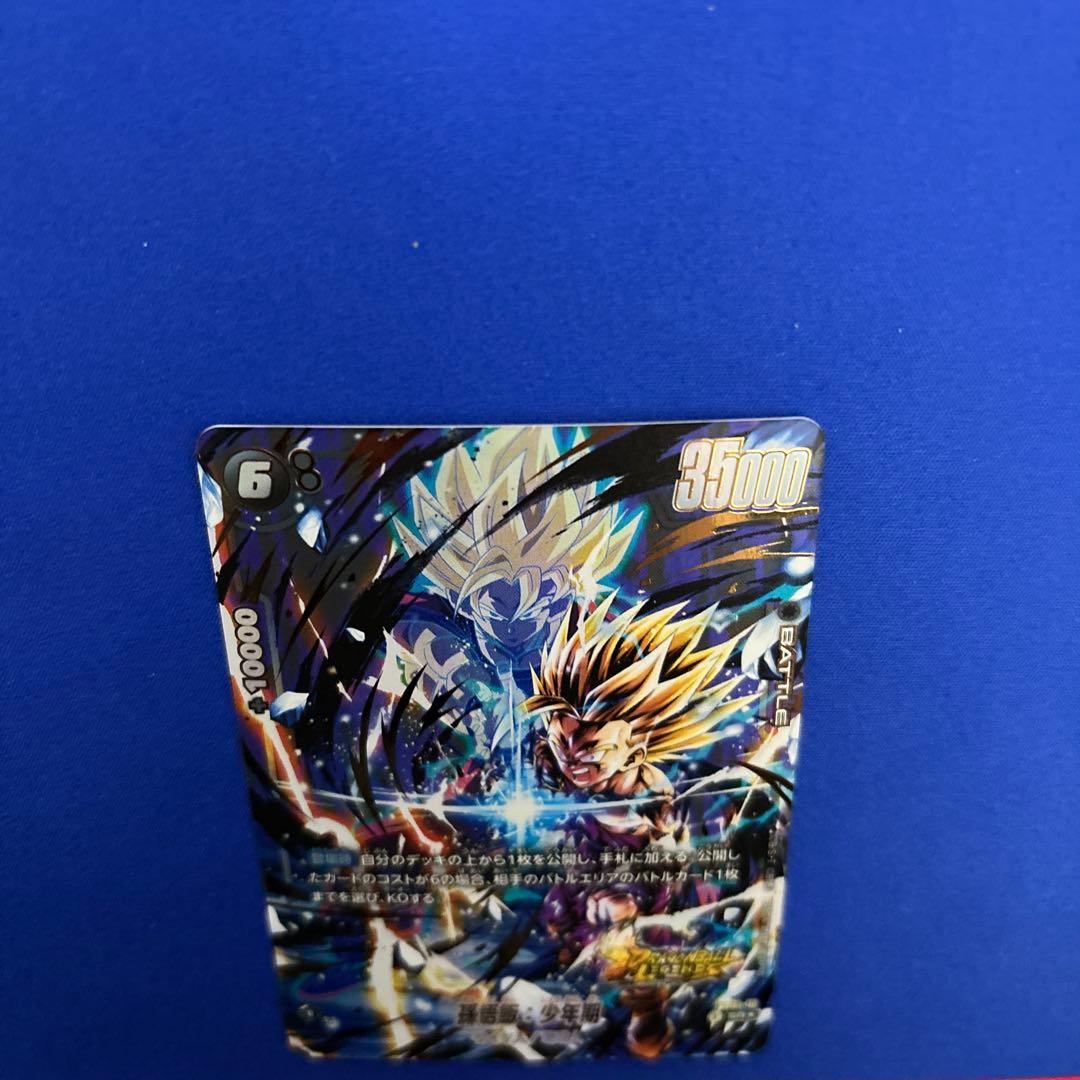 孫悟飯SRパラレル少年期　FS09-10