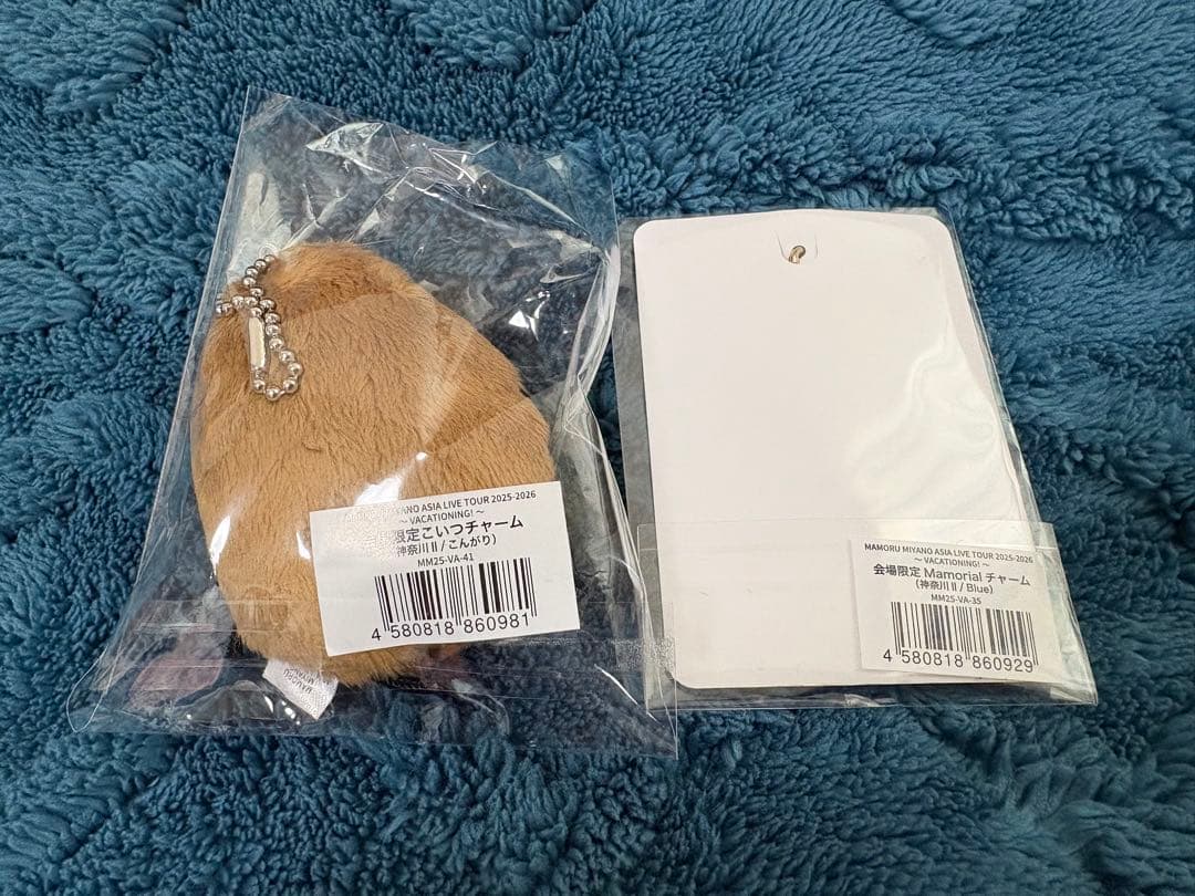 宮野真守 会場限定 VACATIONING！こいつぬいぐるみチャーム 神奈川②