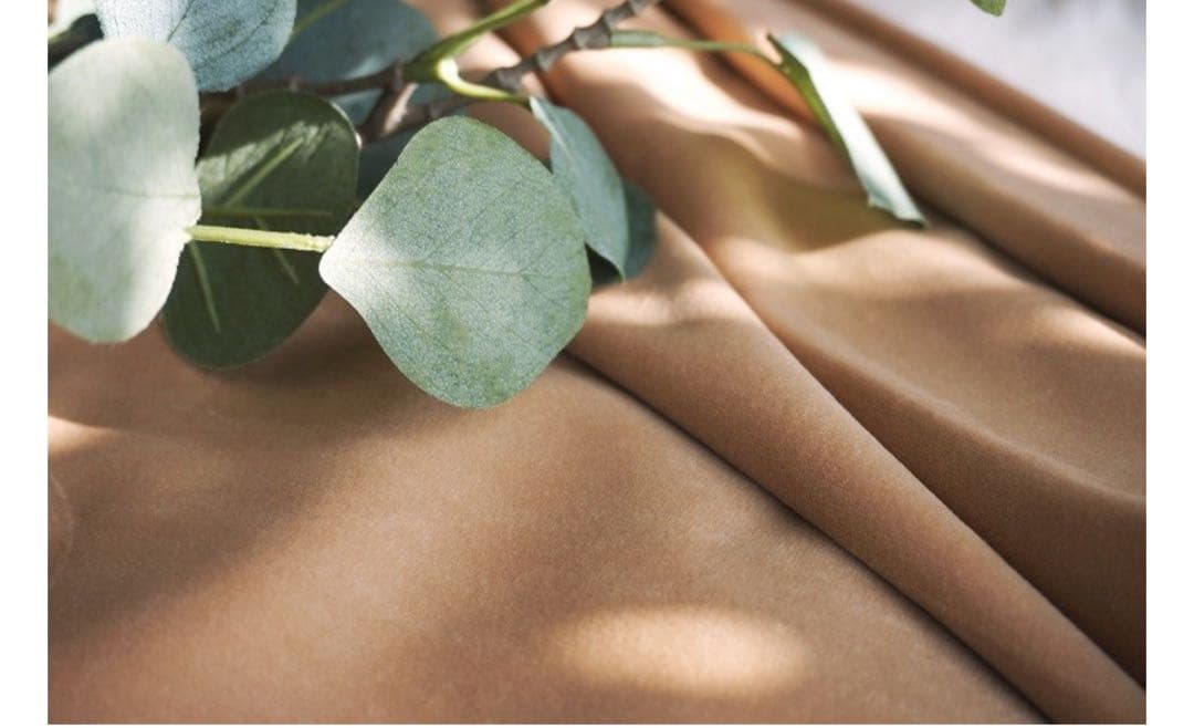 ベロアミルクティーカーテン レースカーテンセット zara