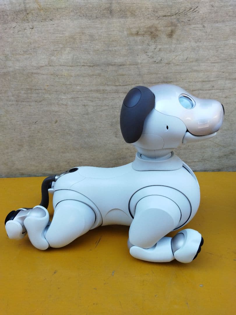 アイボ　aibo ロボット犬 ERS−1000 動作OK　ペットロボット