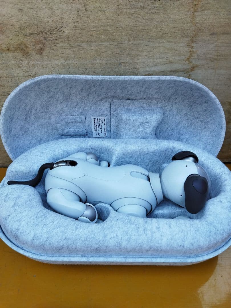 アイボ　aibo ロボット犬 ERS−1000 動作OK　ペットロボット