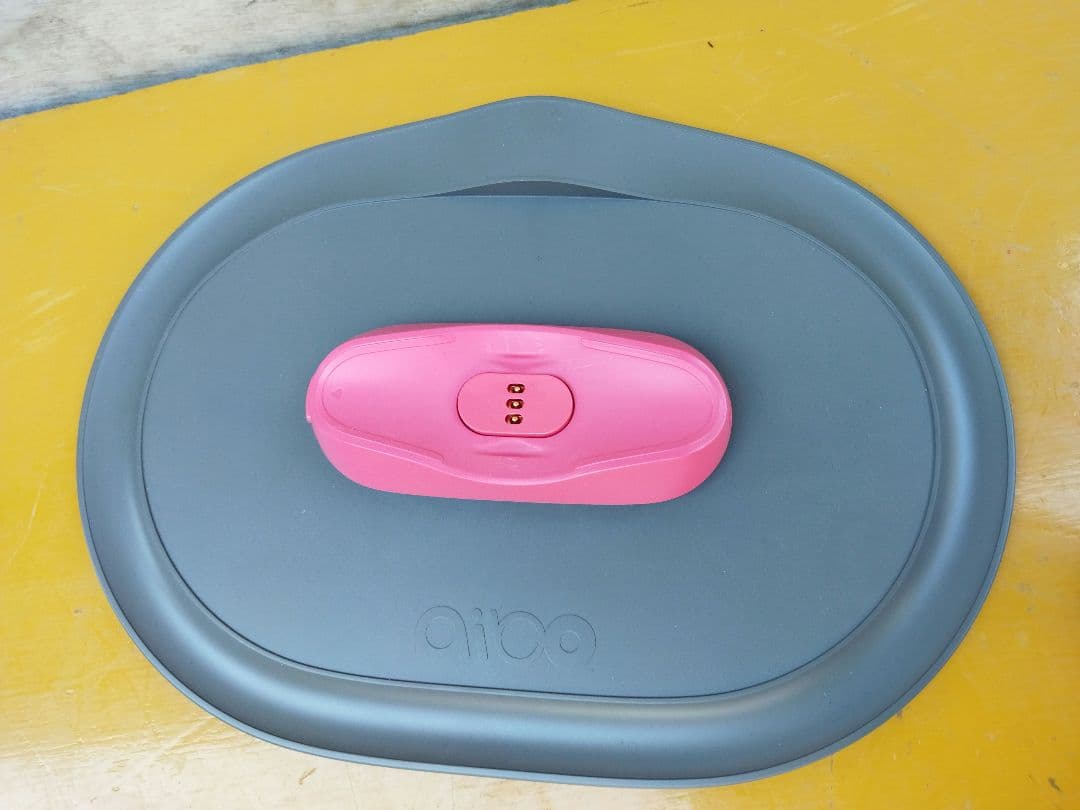 アイボ　aibo ロボット犬 ERS−1000 動作OK　ペットロボット