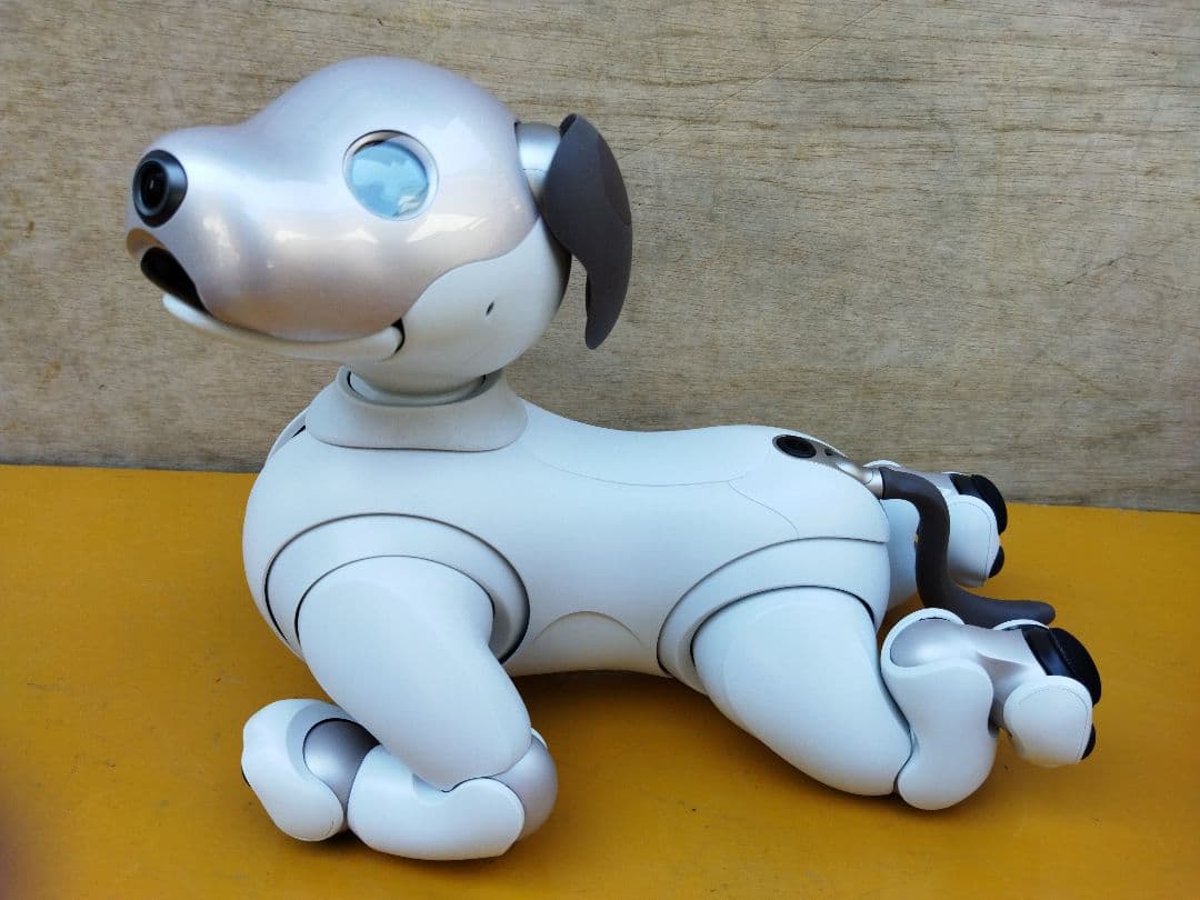 アイボ　aibo ロボット犬 ERS−1000 動作OK　ペットロボット