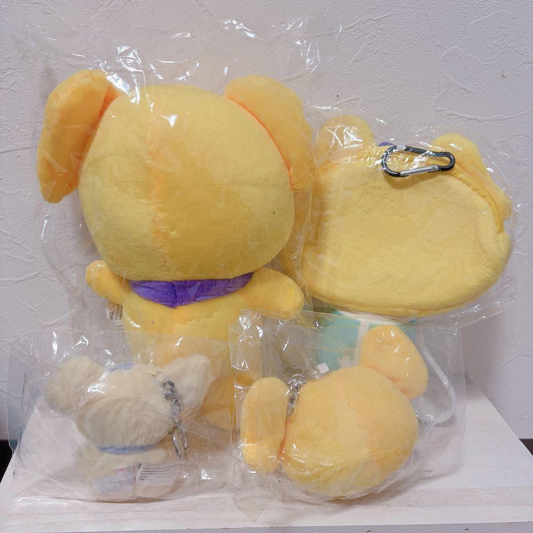 【新品未使用】IVE minive レイ NAORI！！