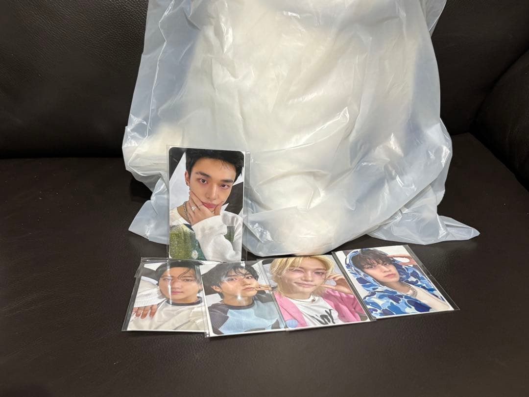 StrayKids SKZOO PLUSH BAG Jiniret 特典トレカ付