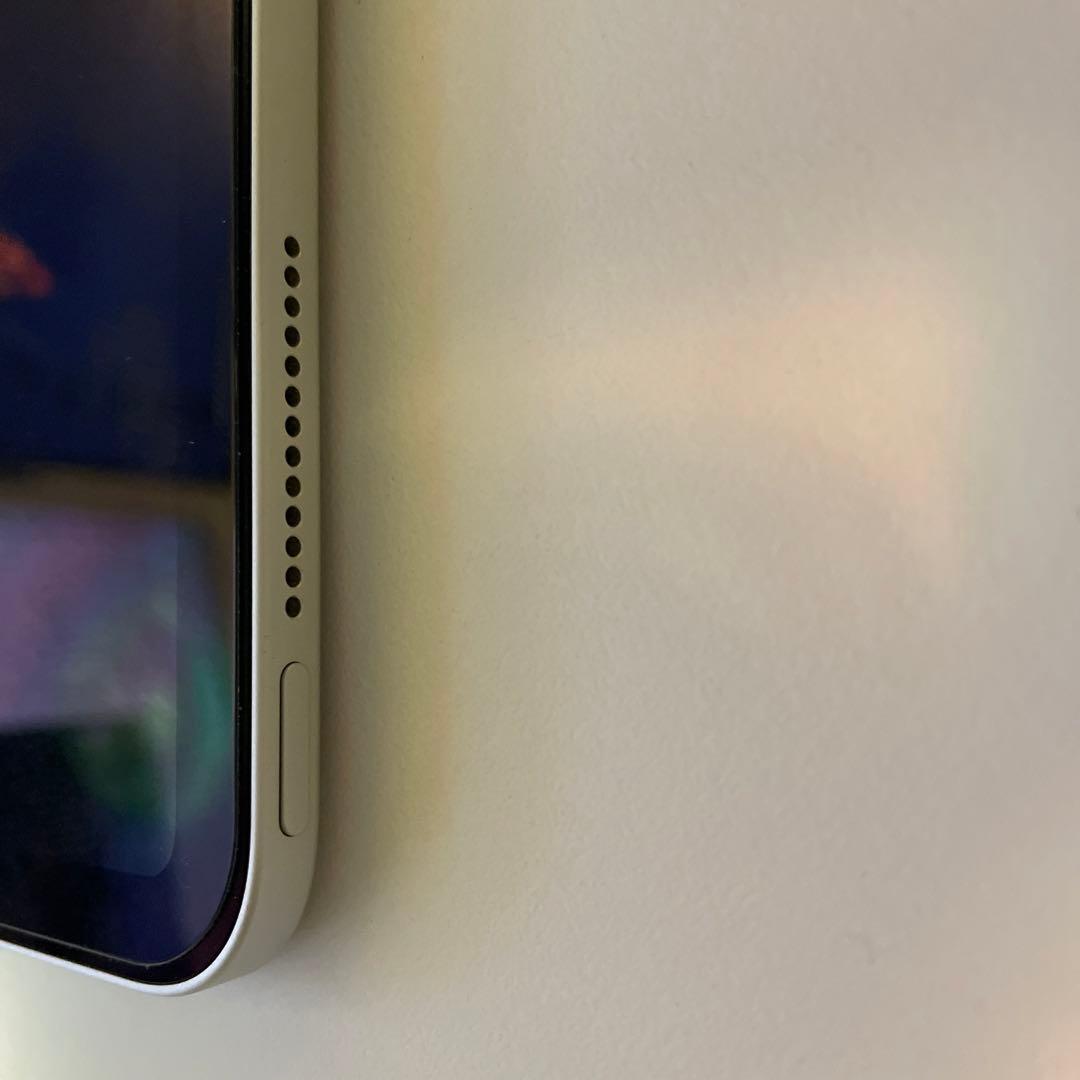 iPad本体 iPad Pro