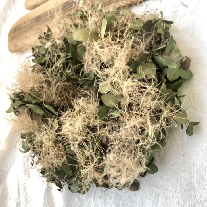 ユーカリとスモークツリーフライングリース