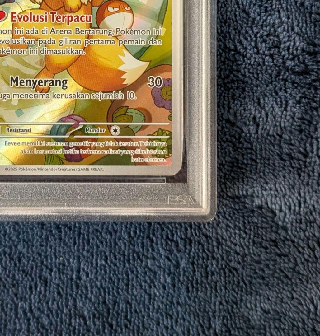 【PSA10】 イーブイ AR プロモ 海外限定　アートレア