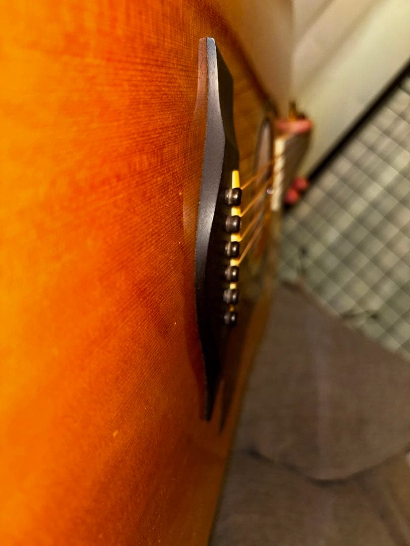 Taylor 810 アコースティックギター ハードケース付