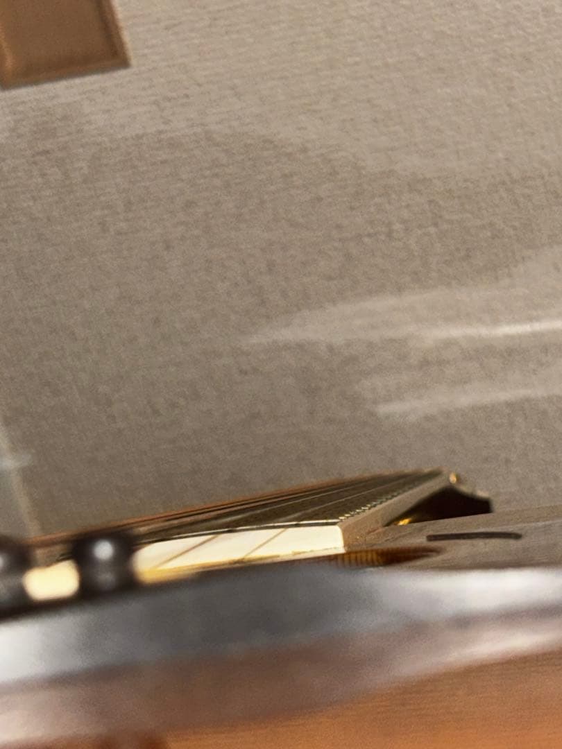 Taylor 810 アコースティックギター ハードケース付