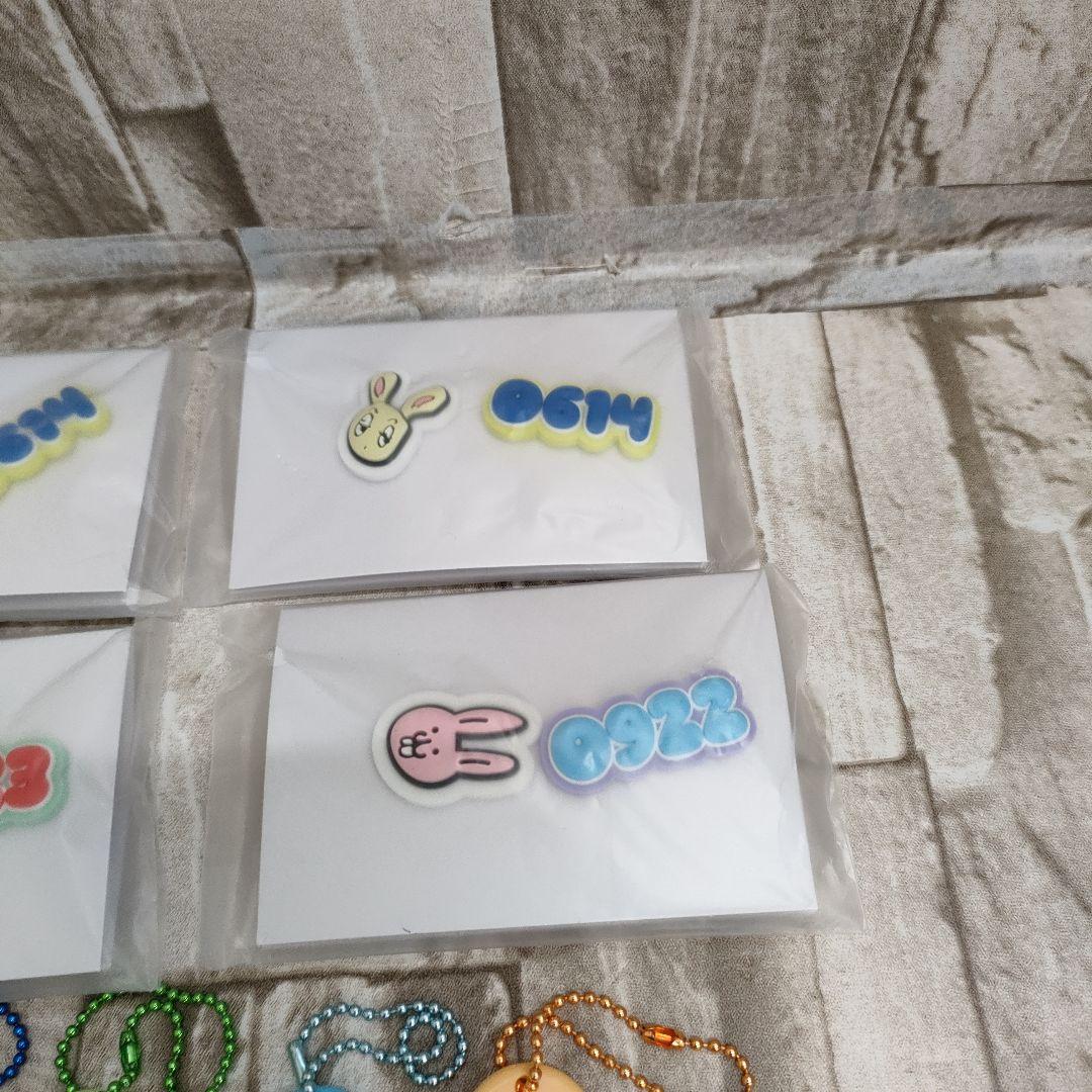 8/0324x12 TWICE グッズ まとめ売り