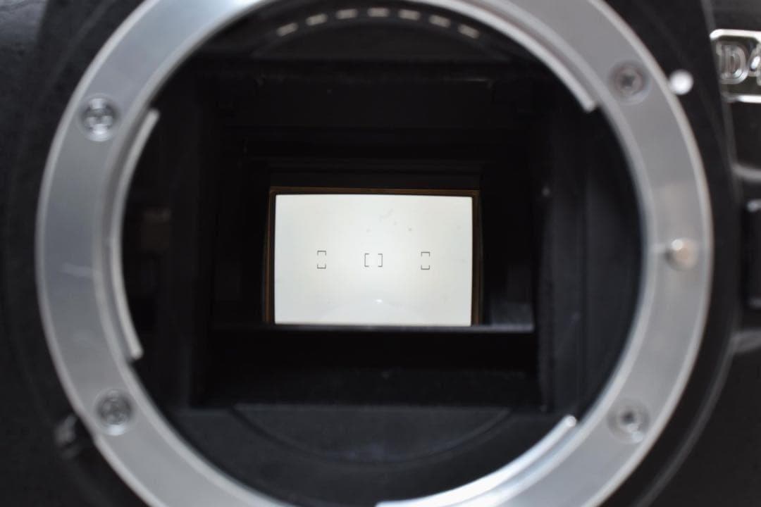 ✨Nikon D40x✨ ダブルレンズセット　一眼レフ　ショット数新品級 エモ写