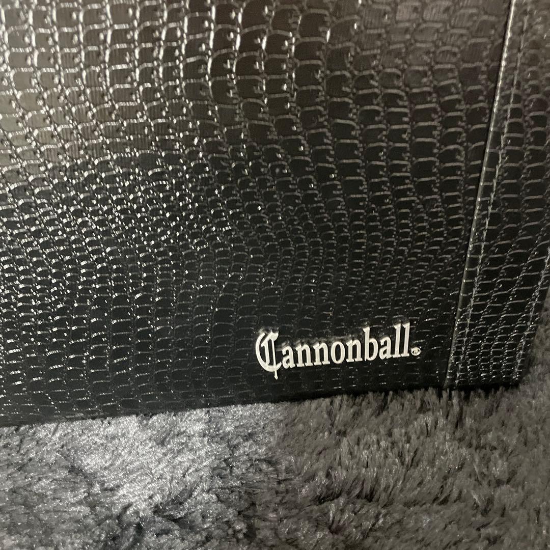 Cannonball アルトサックス用 ハードケース 管楽器 フライトケース