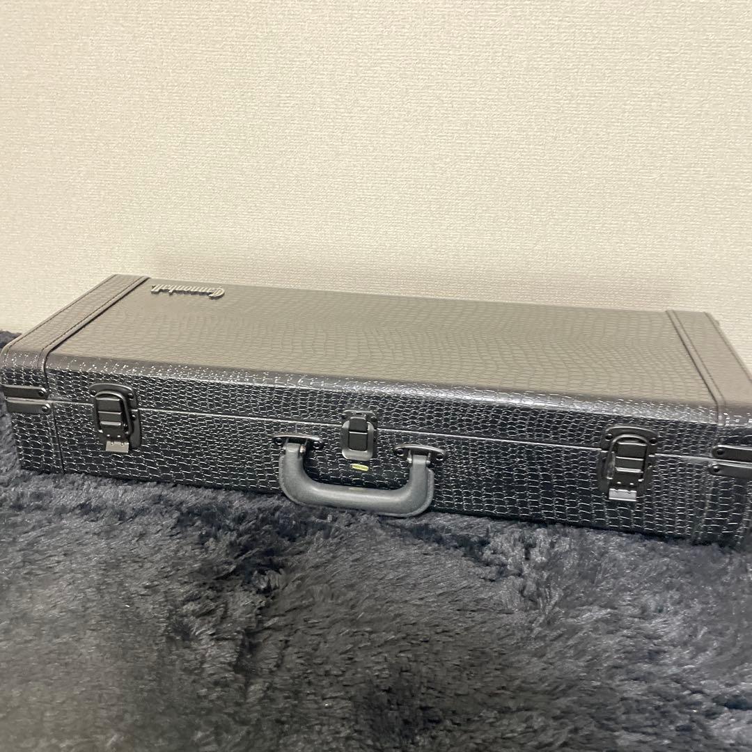 Cannonball アルトサックス用 ハードケース 管楽器 フライトケース