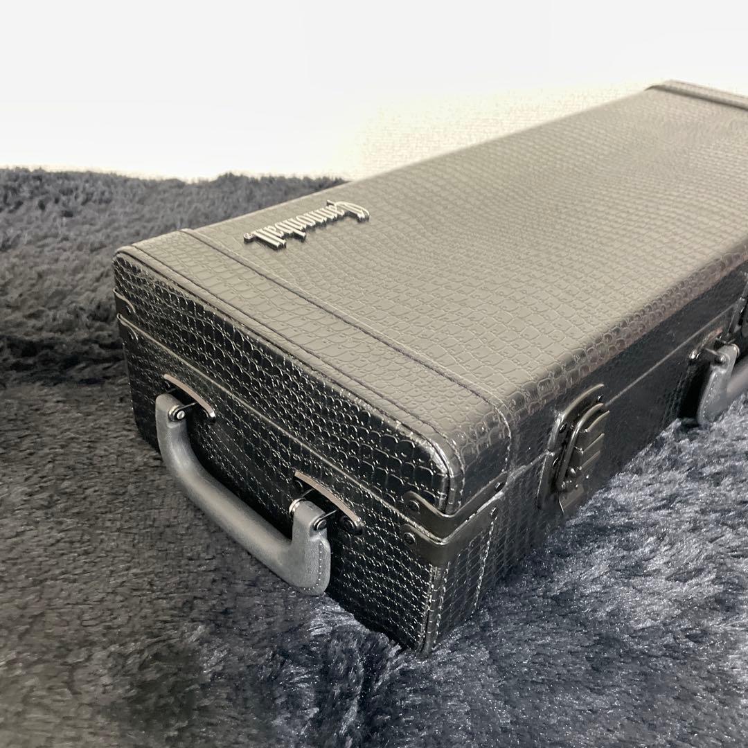 Cannonball アルトサックス用 ハードケース 管楽器 フライトケース