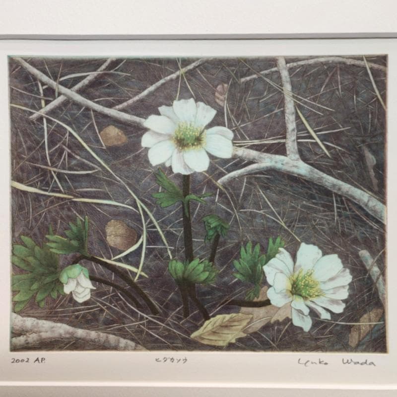 ☆和田裕子☆「ヒダカソウ」銅版画　A.P　新品額！