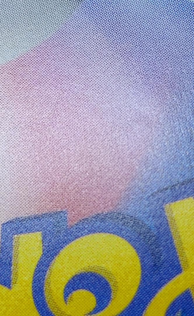 メガリザードン X ex SAR インフェルノ ポケモン MUR Y PSA