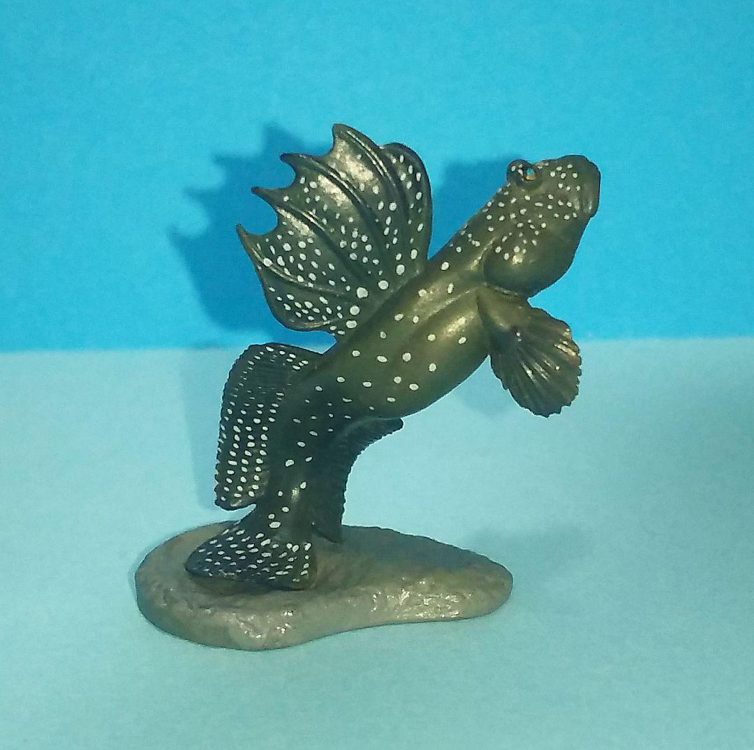 ムツゴロウ 原色海水魚図鑑