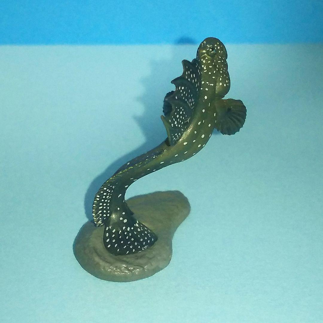 ムツゴロウ 原色海水魚図鑑