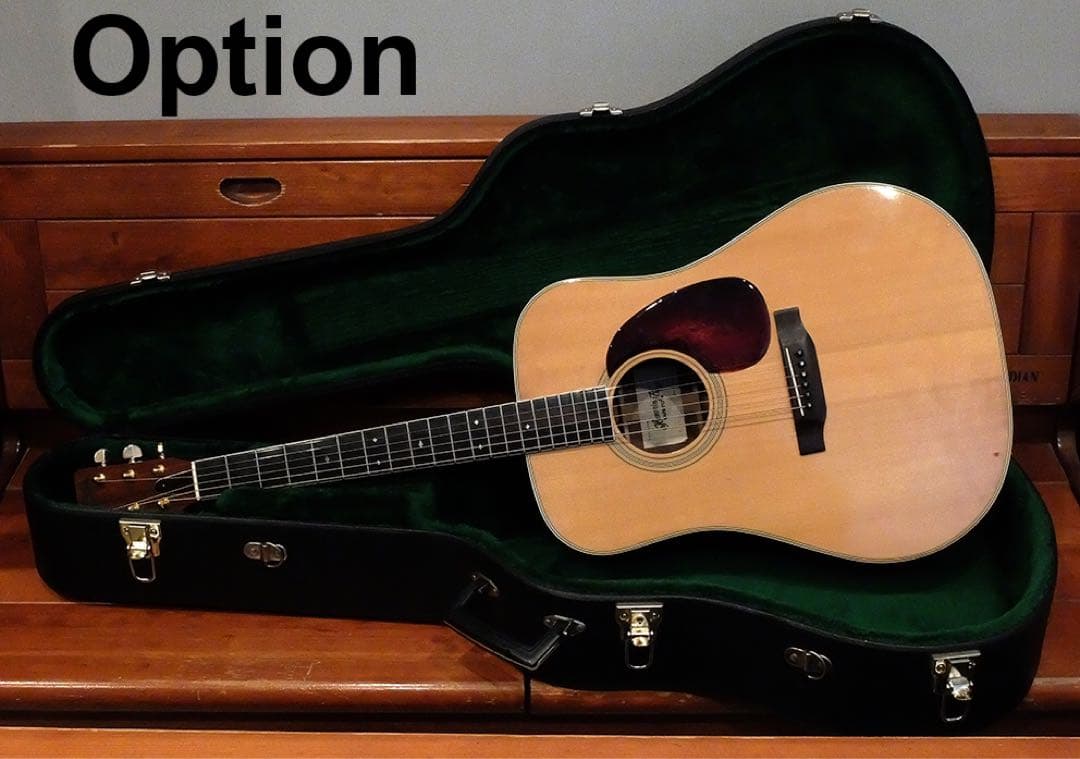 HummingBird W-600 初期超希少　ハードケース付き