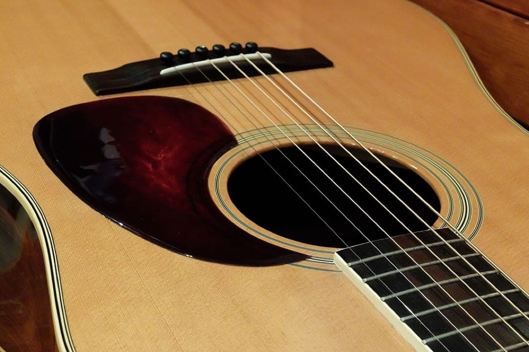 HummingBird W-600 初期超希少　ハードケース付き