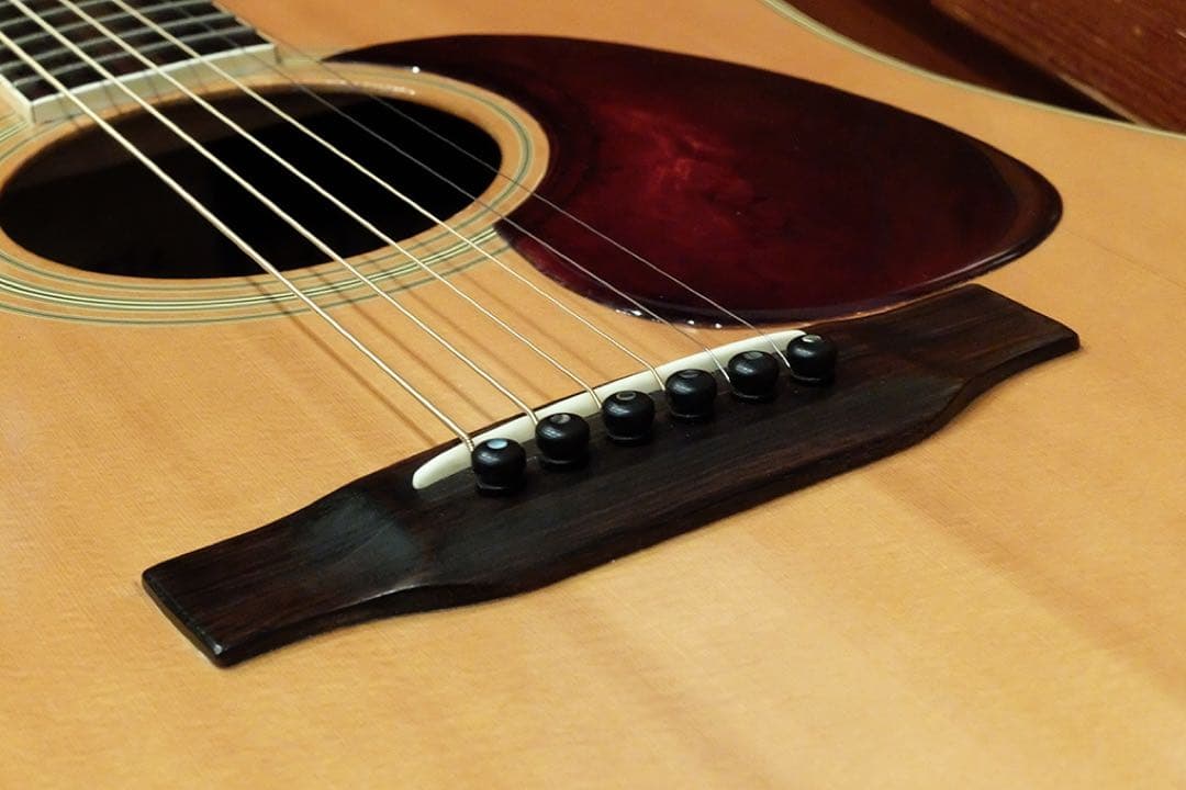 HummingBird W-600 初期超希少　ハードケース付き