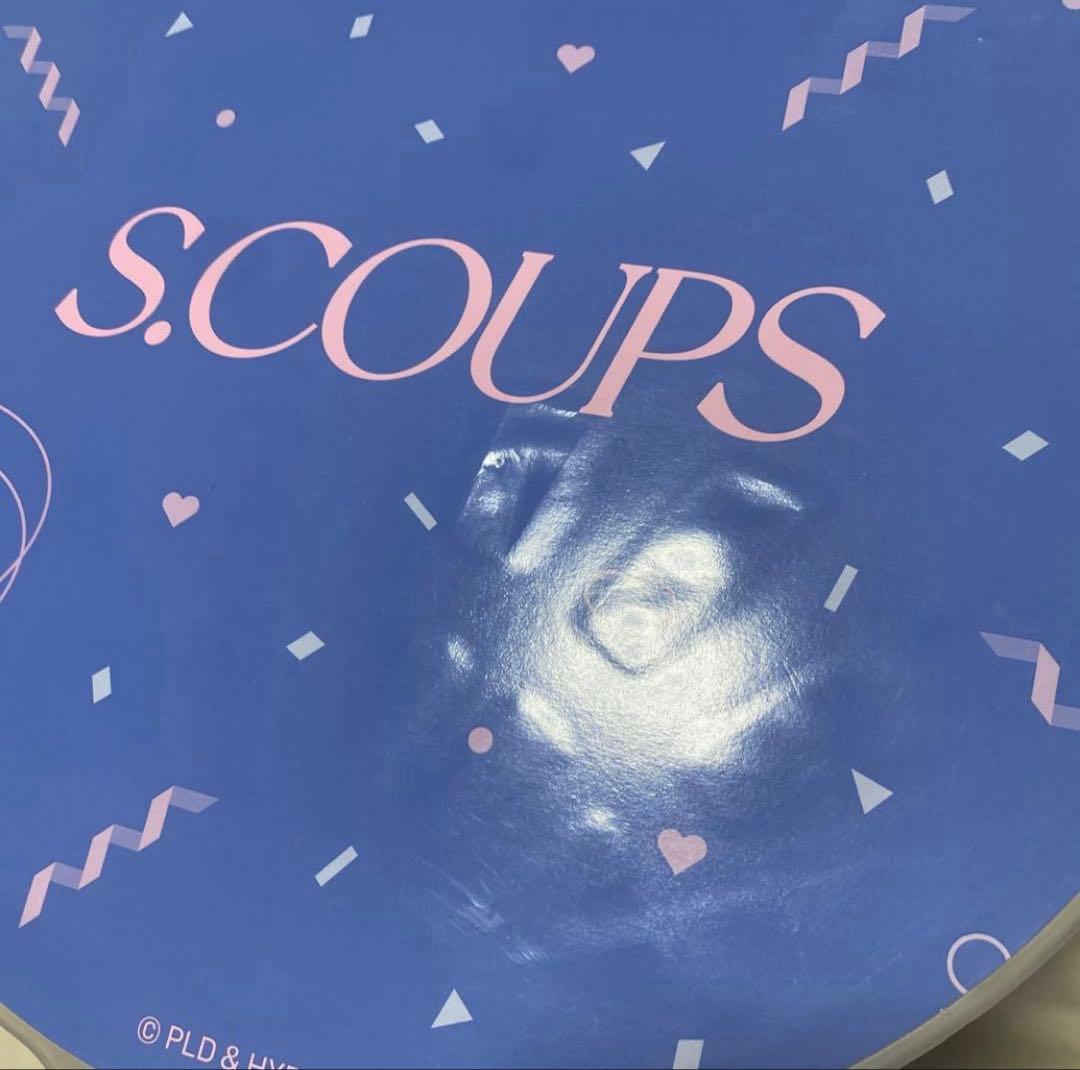 SEVENTEEN エスクプス うちわ ピケット セット セブチ