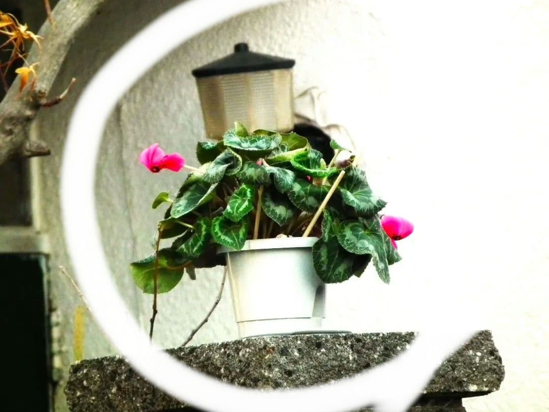 FINPIX HS 10　30倍　本体のみ