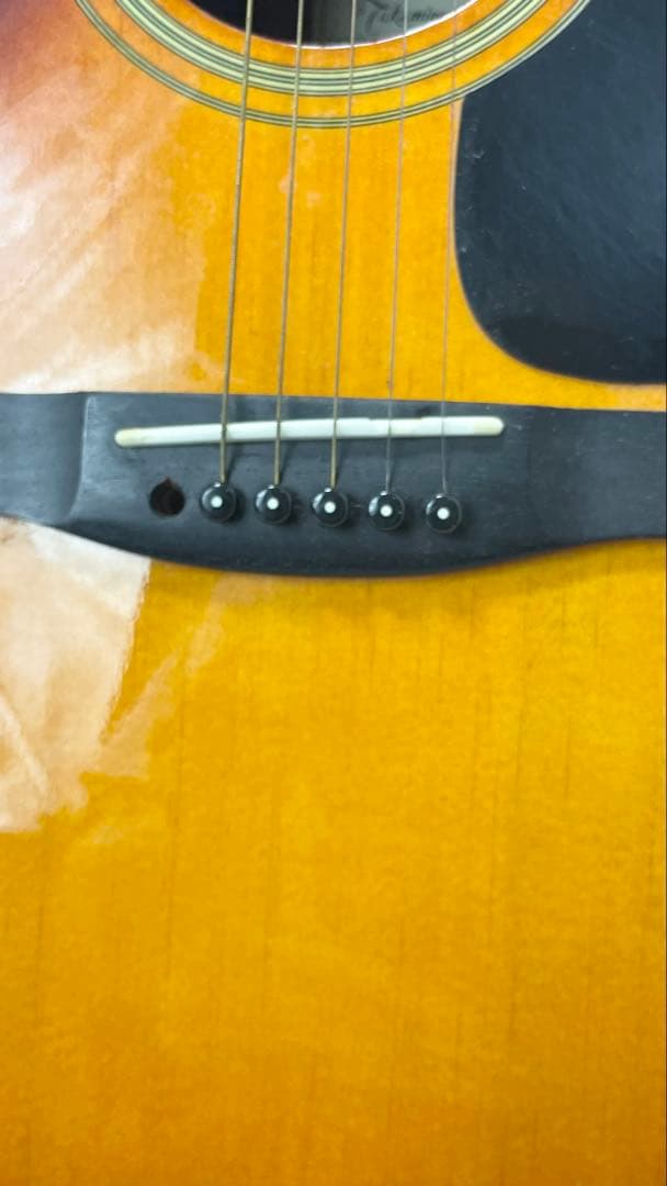 タカミネ アコースティックギター T－２TBS