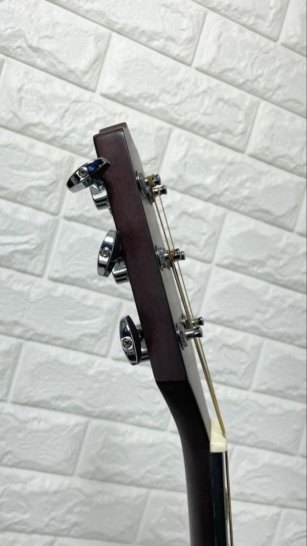 タカミネ アコースティックギター T－２TBS