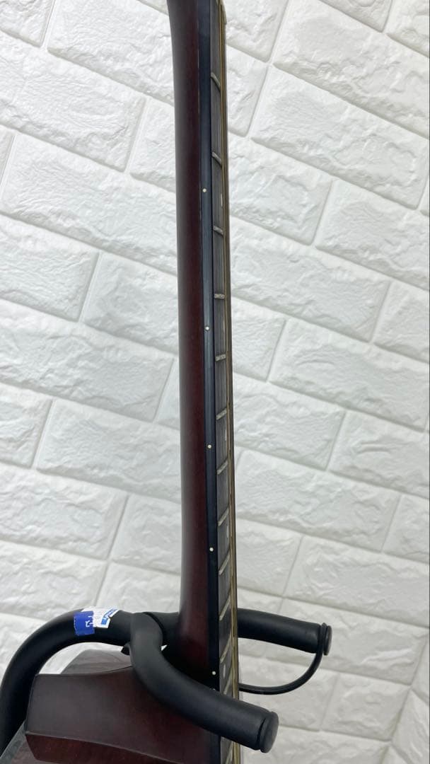 タカミネ アコースティックギター T－２TBS