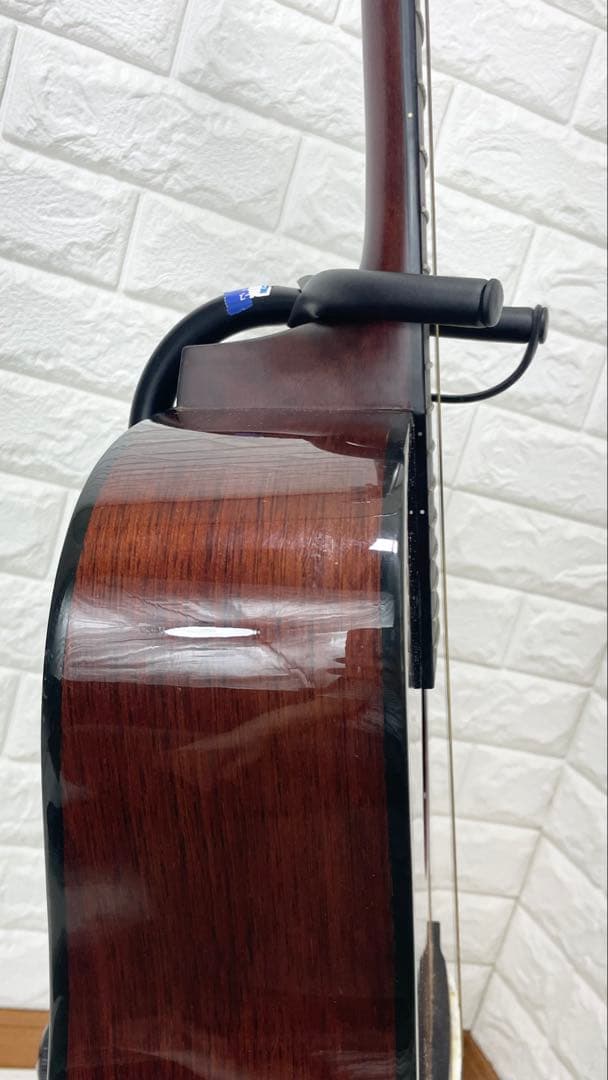 タカミネ アコースティックギター T－２TBS