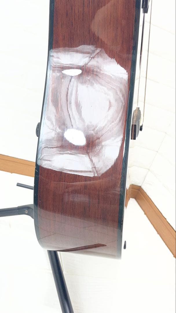 タカミネ アコースティックギター T－２TBS