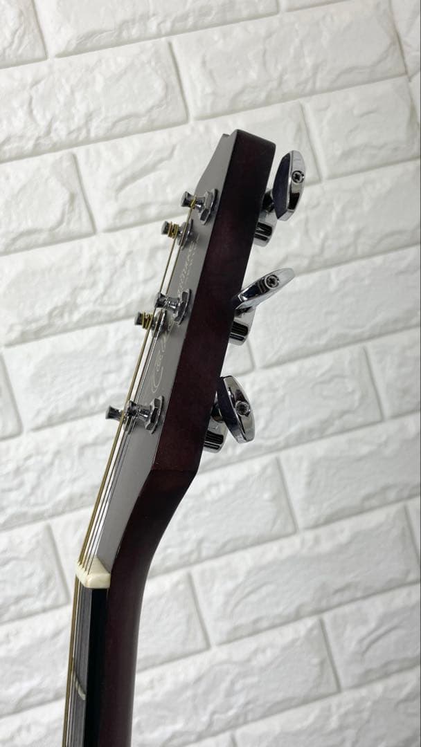 タカミネ アコースティックギター T－２TBS