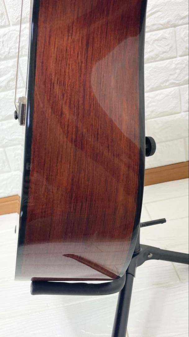 タカミネ アコースティックギター T－２TBS