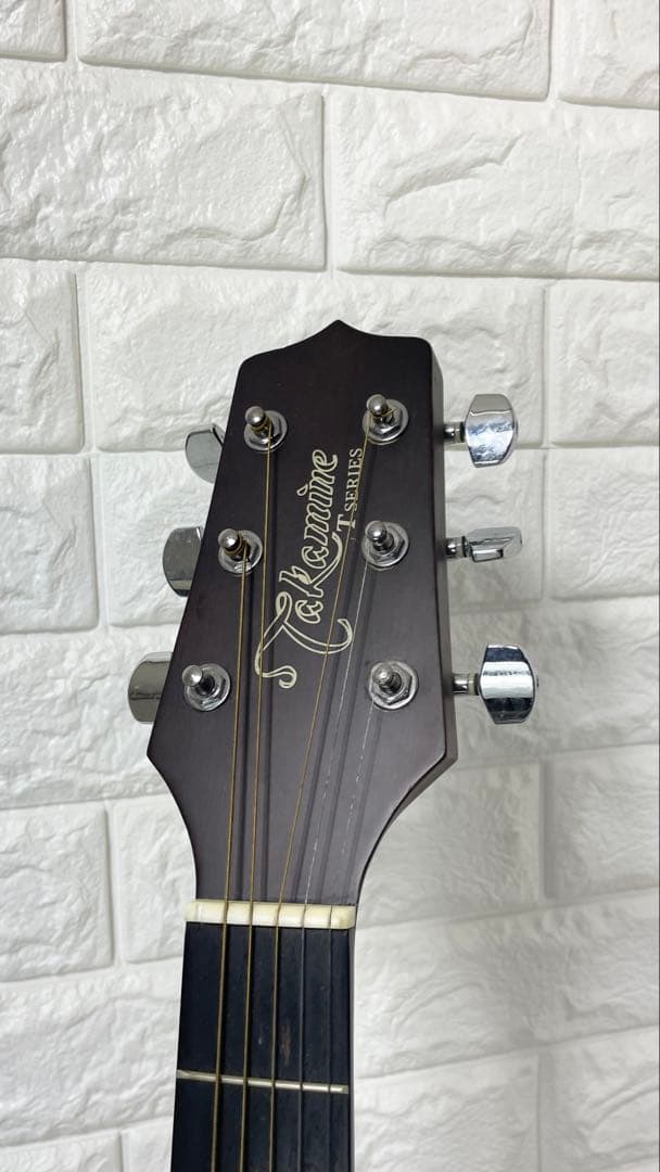 タカミネ アコースティックギター T－２TBS