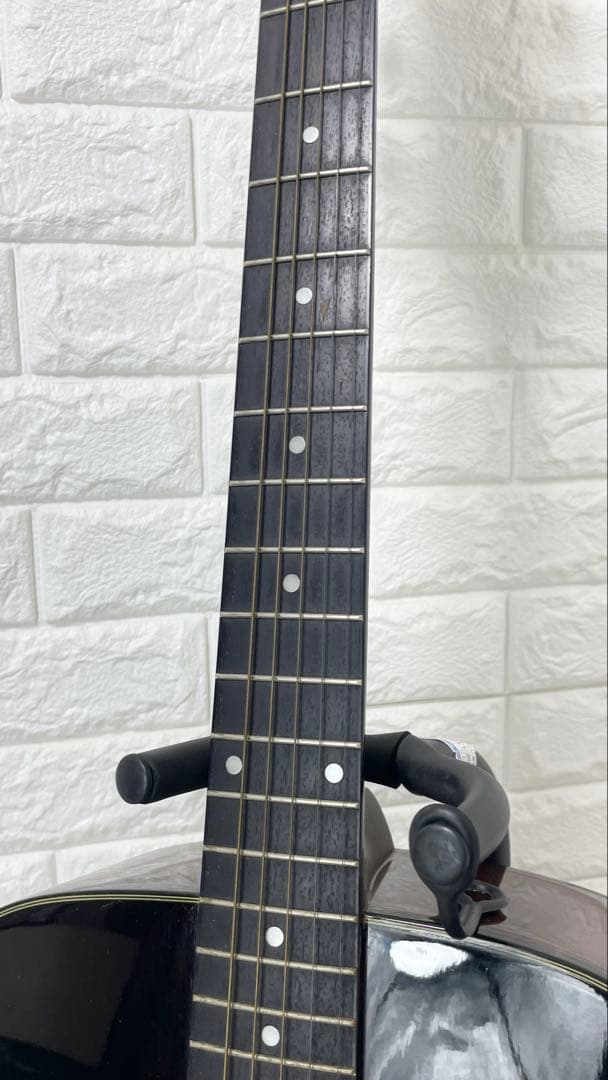 タカミネ アコースティックギター T－２TBS