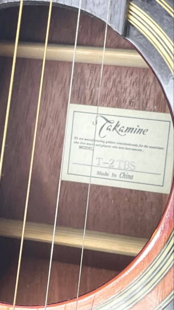 タカミネ アコースティックギター T－２TBS