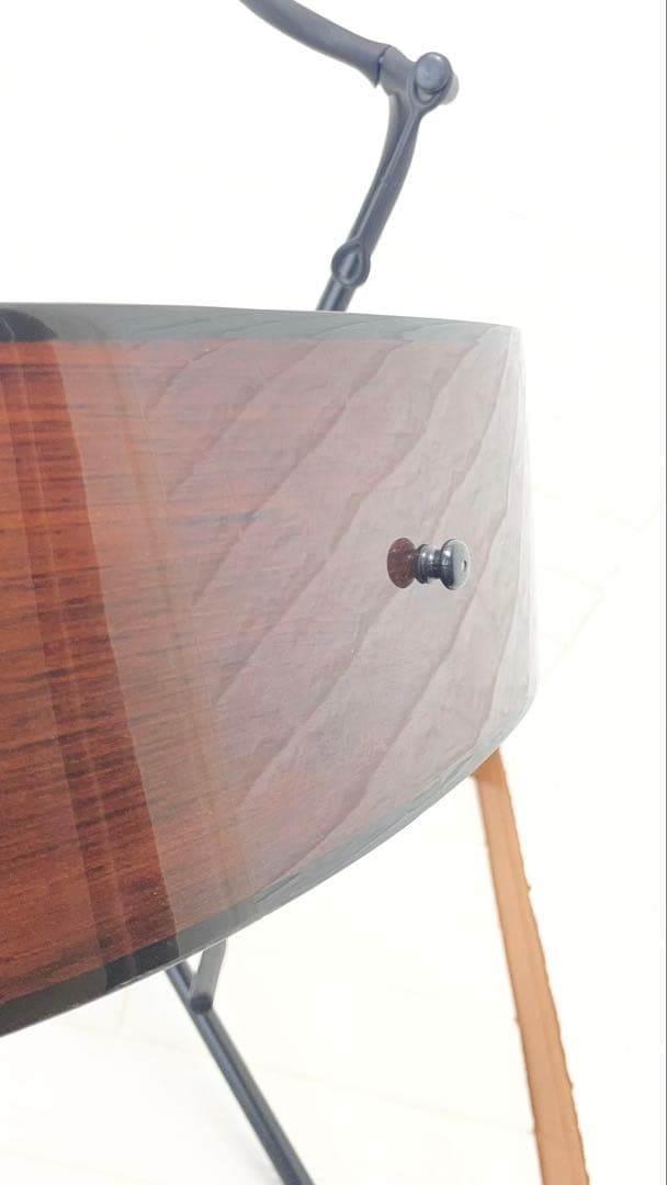 タカミネ アコースティックギター T－２TBS