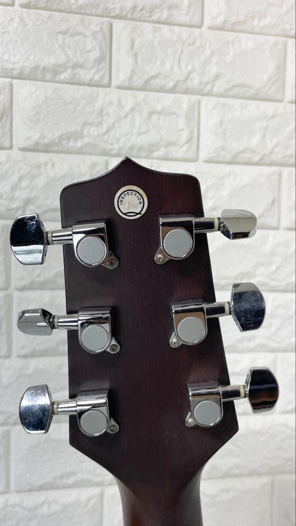 タカミネ アコースティックギター T－２TBS