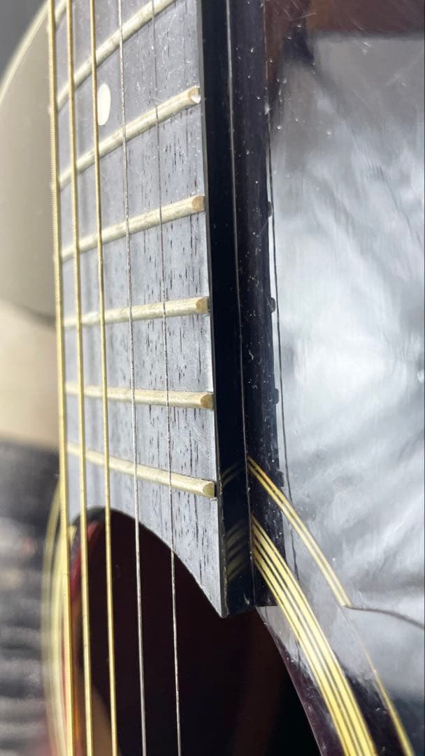 タカミネ アコースティックギター T－２TBS