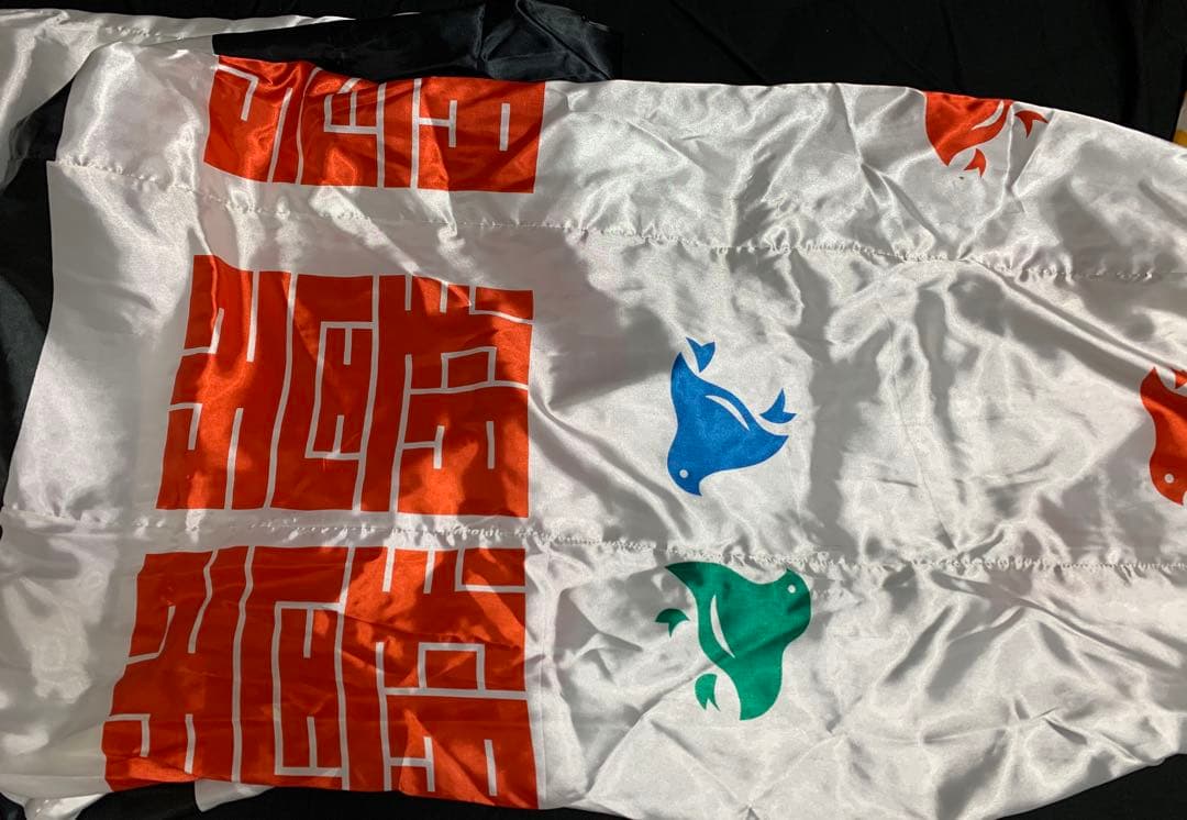 【大型】　鯉のぼり　6mセット　羽衣鯉　ワタナベ鯉