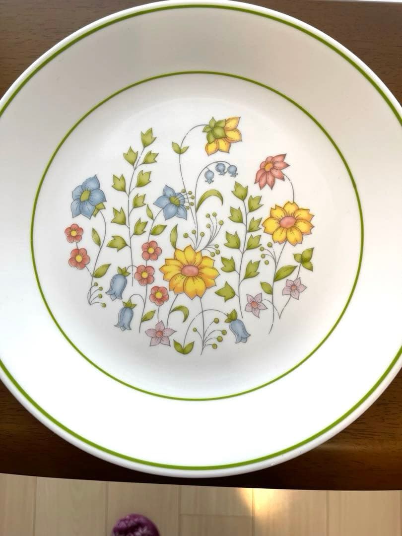 コレール コーニング製 メドウ(草原) 20ピースセット 【最終値下げ】